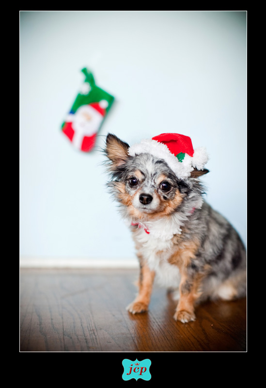 Merry Christmas to all and to all a…. {Midnight Mass}